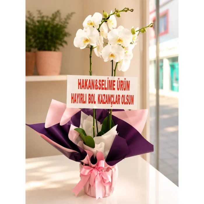 Masal Bahçesi Açılış ve Düğün Çelengi