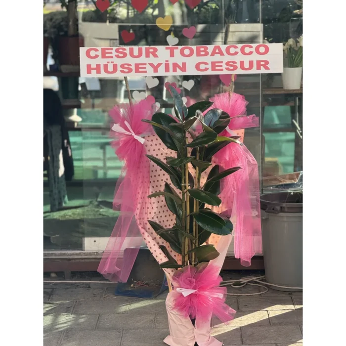 Duru Güzellik Açılış ve Düğün Çelengi