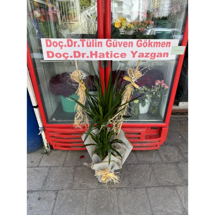 Zarafet Bahçesi Açılış ve Düğün Çelengi