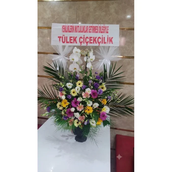 Mimoza Rüyası Orkide Aranjmanı
